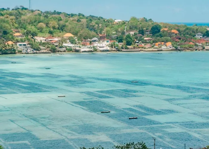 Sabiha * Nusa Lembongan (Bali)